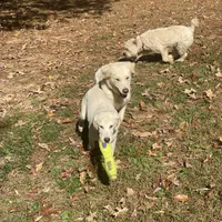 processed/c4b465fa-7184-4209-aec8-380f2bc9ac6a/facility/a187897c-5fbc-4fc0-a88d-dc7fe806daa3