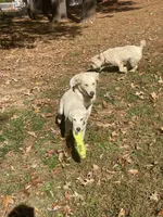 processed/c4b465fa-7184-4209-aec8-380f2bc9ac6a/facility/a187897c-5fbc-4fc0-a88d-dc7fe806daa3