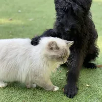 processed/c4b465fa-7184-4209-aec8-380f2bc9ac6a/facility/a40fd631-3f83-49db-a287-8f53f718a397