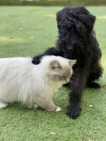 processed/c4b465fa-7184-4209-aec8-380f2bc9ac6a/facility/a40fd631-3f83-49db-a287-8f53f718a397