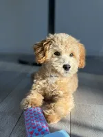 processed/c4b465fa-7184-4209-aec8-380f2bc9ac6a/listing/00d7fdb3-9fe0-4d1c-9a9c-8f135201527d/083de7fb-ca0c-44fb-a6fe-f27ff2acf371