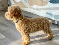 processed/c4b465fa-7184-4209-aec8-380f2bc9ac6a/listing/00d7fdb3-9fe0-4d1c-9a9c-8f135201527d/1df41145-c9a2-46ed-9552-1be1a4605d39