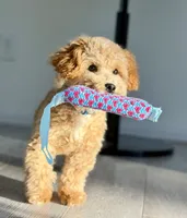 processed/c4b465fa-7184-4209-aec8-380f2bc9ac6a/listing/00d7fdb3-9fe0-4d1c-9a9c-8f135201527d/d0405cbf-71e0-4f5f-84ca-802f0909c70f