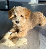 processed/c4b465fa-7184-4209-aec8-380f2bc9ac6a/listing/00d7fdb3-9fe0-4d1c-9a9c-8f135201527d/da75cabb-e5bf-4c2e-8b96-ce3057c8f646