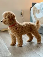 processed/c4b465fa-7184-4209-aec8-380f2bc9ac6a/listing/0677df11-c2de-486e-aac0-872f881a89ae/07b8b594-bfe4-4c2b-8806-364a406b9027