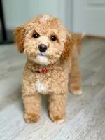 processed/c4b465fa-7184-4209-aec8-380f2bc9ac6a/listing/0677df11-c2de-486e-aac0-872f881a89ae/287ea382-7f83-44bb-a4e8-7c8604af414d