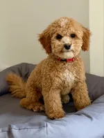 processed/c4b465fa-7184-4209-aec8-380f2bc9ac6a/listing/0677df11-c2de-486e-aac0-872f881a89ae/4f25c272-4ae5-413f-aa98-4b6e05a901de