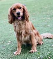 processed/c4b465fa-7184-4209-aec8-380f2bc9ac6a/listing/972ef3a4-0ddd-40b7-808d-34c92c40eeeb/083bff39-dc4c-44d0-8fea-6b1825f1df2c