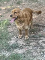 processed/c4b465fa-7184-4209-aec8-380f2bc9ac6a/listing/972ef3a4-0ddd-40b7-808d-34c92c40eeeb/451b253d-1cfb-46c1-8cb4-a6469a991b09