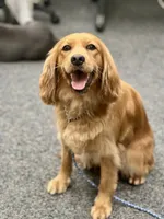 processed/c4b465fa-7184-4209-aec8-380f2bc9ac6a/listing/972ef3a4-0ddd-40b7-808d-34c92c40eeeb/813901bc-a589-48d1-a6f3-af0b4357e3eb