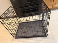 Kirby, a male Morkie for sale in West Palm Beach, FL – Photo 6 of 7