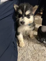 processed/c4b94ea5-cf18-4ae5-a922-42fce34a3c70/listing/27e4f479-e803-45ea-b1d5-f532476b13aa/2dd98461-fa35-40eb-91e1-30681595e906