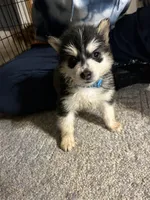 processed/c4b94ea5-cf18-4ae5-a922-42fce34a3c70/listing/27e4f479-e803-45ea-b1d5-f532476b13aa/e6c20773-5b0a-44df-b1db-ef5a60657d6a