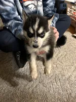 processed/c4b94ea5-cf18-4ae5-a922-42fce34a3c70/listing/bdaec209-fe4b-4b09-8784-822a525e5b8d/18a776ac-ab31-4442-9b91-2a31eda9b065