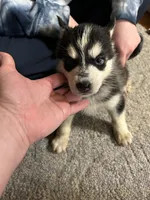 processed/c4b94ea5-cf18-4ae5-a922-42fce34a3c70/listing/bdaec209-fe4b-4b09-8784-822a525e5b8d/55f325e1-34da-4c98-a8dd-42dbe3482ab3