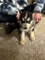 processed/c4b94ea5-cf18-4ae5-a922-42fce34a3c70/listing/bdaec209-fe4b-4b09-8784-822a525e5b8d/ee038588-ba92-4d08-984e-024d6d84d50f