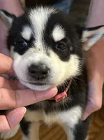 processed/c4b94ea5-cf18-4ae5-a922-42fce34a3c70/listing/f3073e0b-ceaf-451e-b679-7714703162b3/b0058623-9973-49ff-821c-45f4f5253345