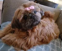 processed/c4c9248c-3c7b-43f2-93a2-a4c31bd5e9bc/facility/26bd465b-fb2c-4315-b4c4-9fbda0b66c89