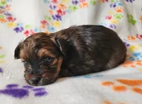 processed/c4c9248c-3c7b-43f2-93a2-a4c31bd5e9bc/listing/4b4b51cd-03f7-4e45-a784-f973a196c388/08ae8679-17ae-4a0a-bc4b-226de9487042