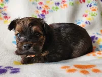 processed/c4c9248c-3c7b-43f2-93a2-a4c31bd5e9bc/listing/4b4b51cd-03f7-4e45-a784-f973a196c388/2128f264-b570-47d4-ae0c-c41cbaf60b89