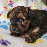 processed/c4c9248c-3c7b-43f2-93a2-a4c31bd5e9bc/listing/4b4b51cd-03f7-4e45-a784-f973a196c388/4a1eb09f-fef4-46a7-b8d6-7cfc7225f8fe