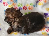 processed/c4c9248c-3c7b-43f2-93a2-a4c31bd5e9bc/listing/4b4b51cd-03f7-4e45-a784-f973a196c388/7239900b-3f1d-4848-90be-5a69e6115e5b