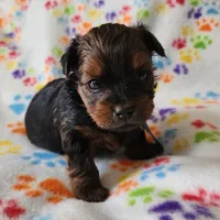 processed/c4c9248c-3c7b-43f2-93a2-a4c31bd5e9bc/listing/4b4b51cd-03f7-4e45-a784-f973a196c388/a74519a1-23c7-4a8b-b129-c377a96a83e1