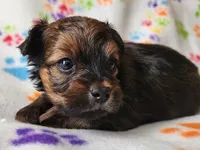 processed/c4c9248c-3c7b-43f2-93a2-a4c31bd5e9bc/listing/4b4b51cd-03f7-4e45-a784-f973a196c388/ab6708e2-560c-4ce4-a934-1f79a99185e4