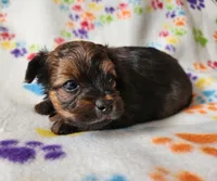 processed/c4c9248c-3c7b-43f2-93a2-a4c31bd5e9bc/listing/4b4b51cd-03f7-4e45-a784-f973a196c388/b6c0187e-8c7a-4820-8dbf-ea4ce2a96e11