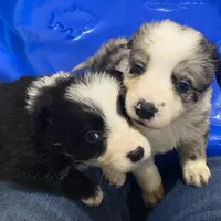 processed/c4cd21d8-e827-4d8b-8e3f-231be63b810b/facility/e0d07b53-f5f7-4346-8b6e-313027806b75