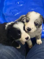 processed/c4cd21d8-e827-4d8b-8e3f-231be63b810b/facility/e0d07b53-f5f7-4346-8b6e-313027806b75