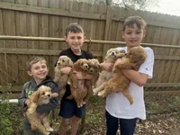 processed/c4e36716-89f0-4c47-ba05-c650dec672a0/facility/118b3e41-b64f-43fb-85ec-d7da709e6093