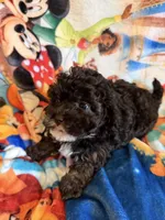 processed/c4e36716-89f0-4c47-ba05-c650dec672a0/facility/12ede1ad-cd24-43f6-8b8c-e06eb2833e85