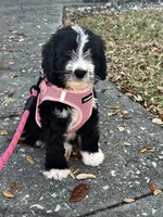 processed/c4e36716-89f0-4c47-ba05-c650dec672a0/facility/45c6ae44-bf72-4c65-bf17-c9499244dfd1