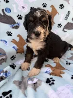 processed/c4e36716-89f0-4c47-ba05-c650dec672a0/listing/0a6a1609-970a-4341-8142-bb8f73fab3c4/0f6f1612-1ba0-4483-836e-be587f58fa33