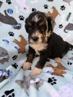 processed/c4e36716-89f0-4c47-ba05-c650dec672a0/listing/0a6a1609-970a-4341-8142-bb8f73fab3c4/23886553-0346-4c96-a949-f7f380747b1e