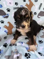 processed/c4e36716-89f0-4c47-ba05-c650dec672a0/listing/0a6a1609-970a-4341-8142-bb8f73fab3c4/340dd8de-5023-4cff-ba2f-7657d28a99df