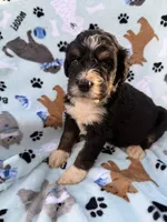 processed/c4e36716-89f0-4c47-ba05-c650dec672a0/listing/0a6a1609-970a-4341-8142-bb8f73fab3c4/417258ca-e73a-411c-b59e-99b34a10a7e9