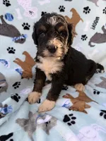 processed/c4e36716-89f0-4c47-ba05-c650dec672a0/listing/0a6a1609-970a-4341-8142-bb8f73fab3c4/fd9536b5-0e28-4d7c-ae6b-915c07366dc6