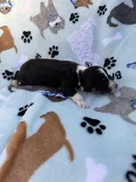 processed/c4e36716-89f0-4c47-ba05-c650dec672a0/listing/16050774-e4ca-49a0-a723-a546bcefb4ca/3cf21a35-5aab-40de-9932-59606de3051d