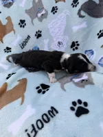 processed/c4e36716-89f0-4c47-ba05-c650dec672a0/listing/16050774-e4ca-49a0-a723-a546bcefb4ca/5b754676-a7e8-42b1-9cac-898f043ab9f9