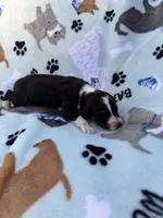 processed/c4e36716-89f0-4c47-ba05-c650dec672a0/listing/16050774-e4ca-49a0-a723-a546bcefb4ca/f3ca0f33-8db7-4d4d-8b94-99fb4f72c83b