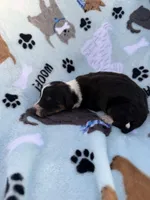 processed/c4e36716-89f0-4c47-ba05-c650dec672a0/listing/16050774-e4ca-49a0-a723-a546bcefb4ca/f8a85894-b53d-4de0-93d5-a1ea2b422054