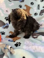 processed/c4e36716-89f0-4c47-ba05-c650dec672a0/listing/179bf64d-b9f4-4405-88fd-7701e3132c87/5a15cdf5-c679-4ad9-a4fb-45603021c267