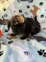 processed/c4e36716-89f0-4c47-ba05-c650dec672a0/listing/179bf64d-b9f4-4405-88fd-7701e3132c87/8723db72-392f-4ca8-babd-3049f7479add