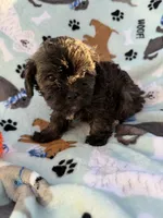 processed/c4e36716-89f0-4c47-ba05-c650dec672a0/listing/179bf64d-b9f4-4405-88fd-7701e3132c87/a099b656-d55f-4cdd-8204-1130b722be09