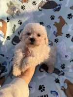 processed/c4e36716-89f0-4c47-ba05-c650dec672a0/listing/18c03d51-c35d-4519-82c8-09d262b7fe6d/d3171ea2-c660-401d-bc8c-632648c1f6f9