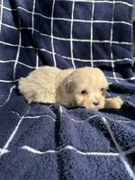 processed/c4e36716-89f0-4c47-ba05-c650dec672a0/listing/18c03d51-c35d-4519-82c8-09d262b7fe6d/ed1640d0-61df-414a-b25d-66102218b7f8