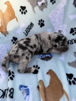 processed/c4e36716-89f0-4c47-ba05-c650dec672a0/listing/18d2a7bb-7e06-4e16-ad1d-3cf8a0765874/037116fe-57f4-46cb-bb81-05f25d8e5fb5