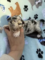 processed/c4e36716-89f0-4c47-ba05-c650dec672a0/listing/18d2a7bb-7e06-4e16-ad1d-3cf8a0765874/4c4d1c30-2ed8-464f-ab6e-7e9a8273a63c